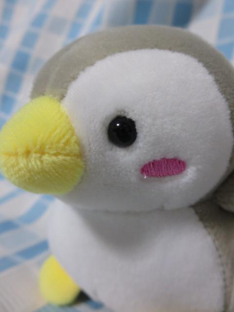 ՂĂ܂}XRbg yM ʂ tG 10cm ̎ʐ^2