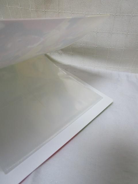 gp |Pp fRLV[z_[ 2023N~ V[ ̎ʐ^4