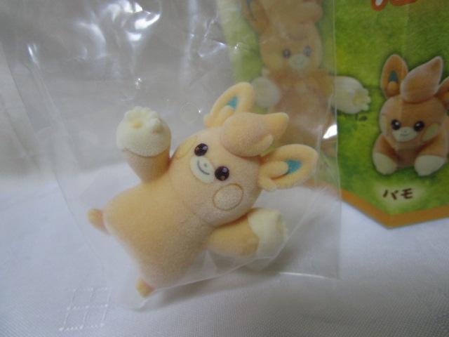 |PZ^[ ӂӂh[ PAMO NO MURE pbg J ̎ʐ^2