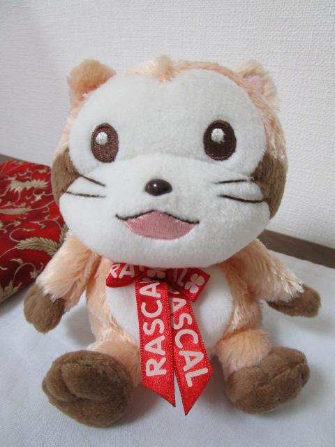 胉XJʂ E쌀 炢܃XJ 14cm ̎ʐ^1