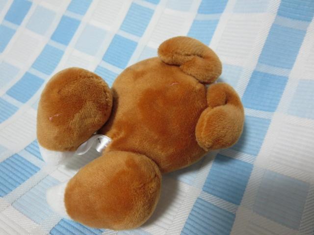 �܂邲�ƃ`�L�� �ɂ�����[�m �g���[�j���O�̂ʂ������ 9cm Qualia �̎ʐ^3