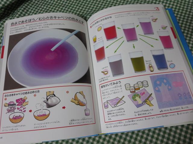 かがくあそび (ふしぎをためすかがく図鑑) フレーベル館(K5-1201)
