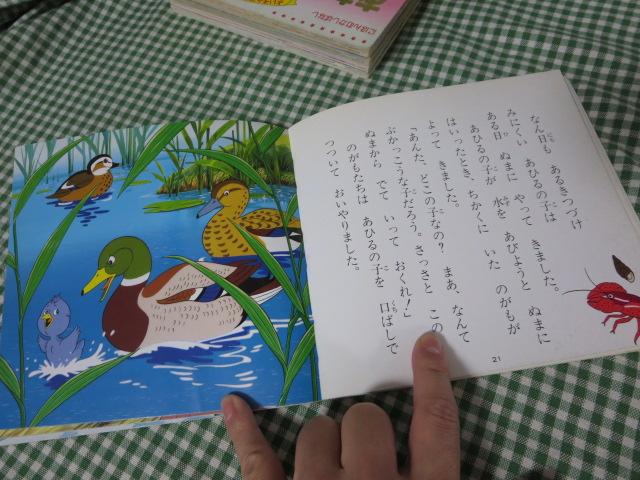 悢qƃ}}̃AjG{ 6Zbg ̎ʐ^4