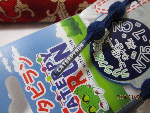 L^s R[|[glCr[ 75cm Ru7mm ̎ʐ^5