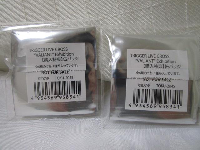 TRIGGER LIVE CROSS 