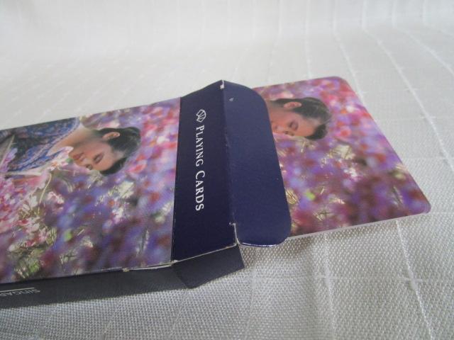 SINGAPORE AIRLINES VK|[q gv ̎ʐ^6