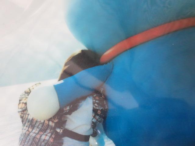 吐ԁ~h A4NAt@C 2002 ̎ʐ^3