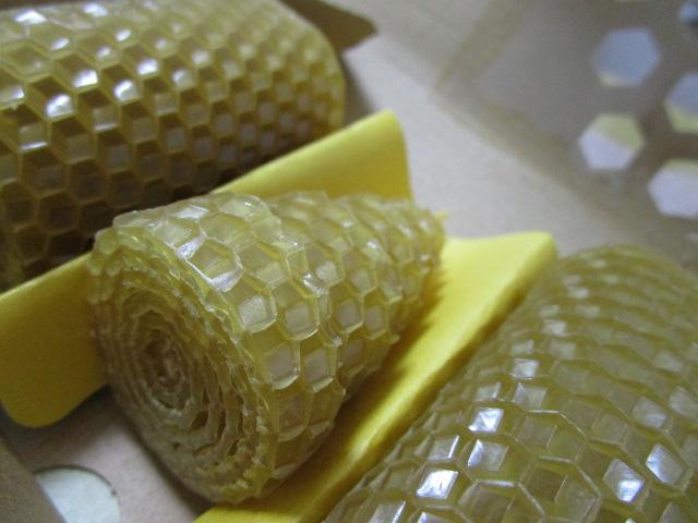 �R�c�{�I�� �r�[�n�b�s�[�L�����h�� �̎ʐ^3