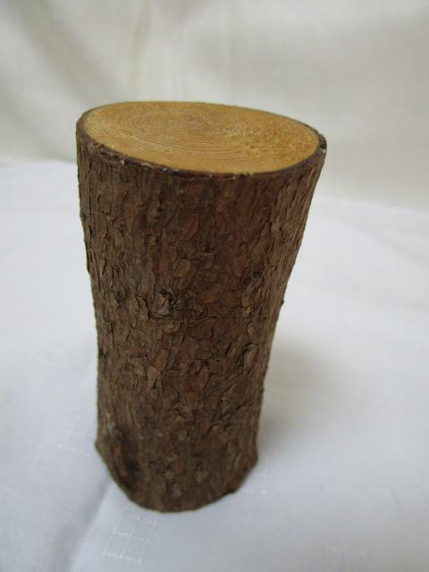 PEMA ؒ葜IuWF cqCGXƐ}A Zt Ƒ̒ 8.5cm ̎ʐ^6