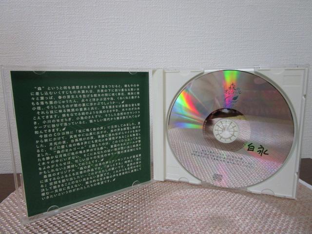 CD �X�̃I���S�[�� �X������ �G���N�g�[�� �̎ʐ^5