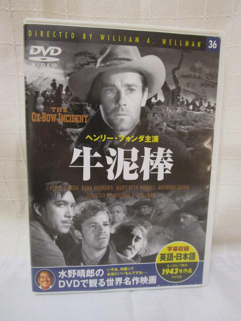 DVD D_ pE{ꎚ ̎ʐ^1