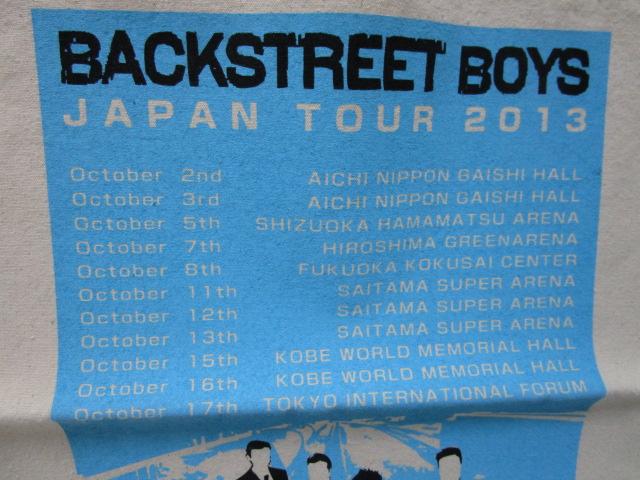 BACKSTREET BOYS obNXg[gE{[CY WpcA[ 2013 GRobO ̎ʐ^2