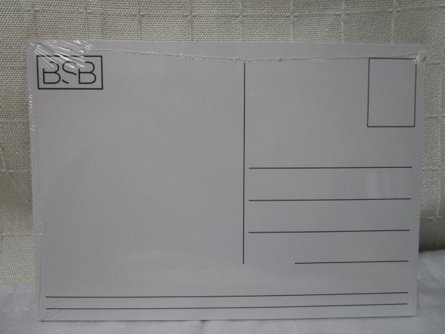 BACKSTREET BOYS バックストリート・ボーイズ PERMANENT STAIN ポストカード の写真2