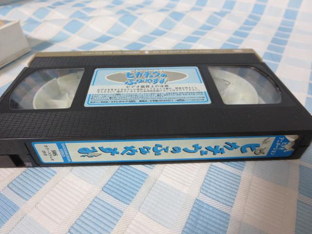 VHS !! |PbgX^[ sJ`Êӂ₷ ̎ʐ^2